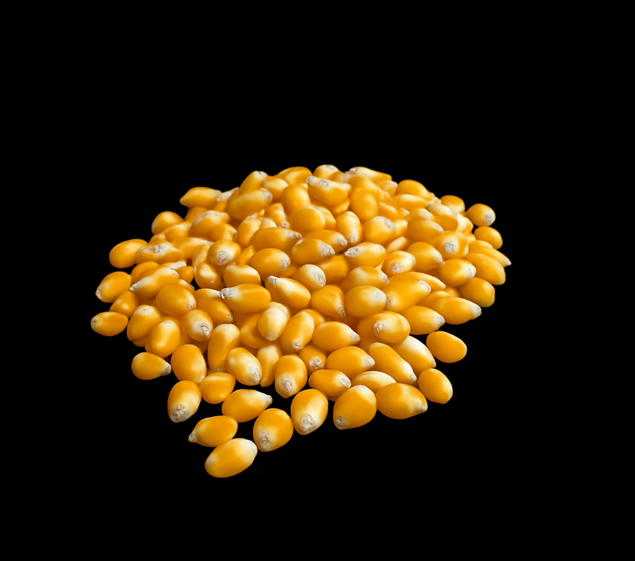 Extra Zubehör für 250 Portionen Popcorn